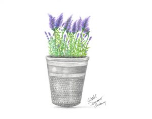 Thimble Full of Lavender