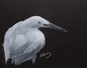 Egret