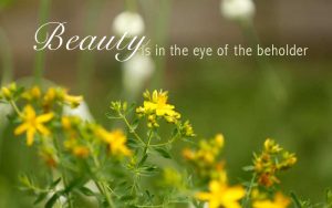slide-beauty
